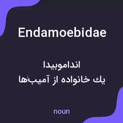 معنی endamoebidae به فارسی معنی endamoebidae به فارسی