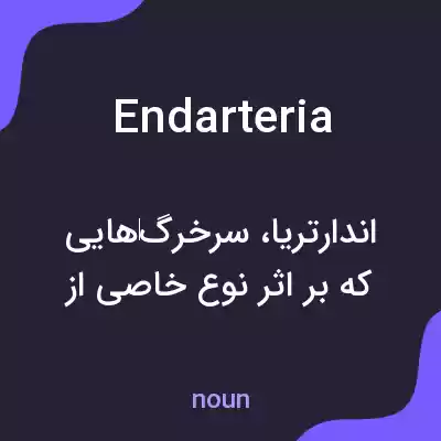 معنی endarteria به فارسی