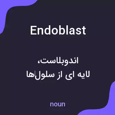 معنی endoblast به فارسی معنی endoblast به فارسی