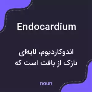 معنی endocardium به فارسی