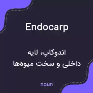 معنی endocarp به فارسی