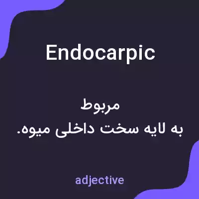 معنی endocarpic به فارسی معنی endocarpic به فارسی