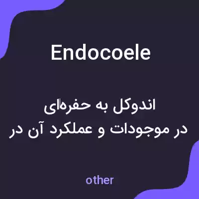 معنی endocoele به فارسی معنی endocoele به فارسی