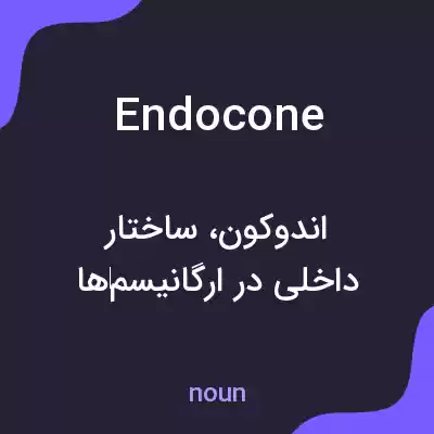 معنی endocone به فارسی معنی endocone به فارسی