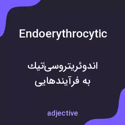 معنی endoerythrocytic به فارسی معنی endoerythrocytic به فارسی