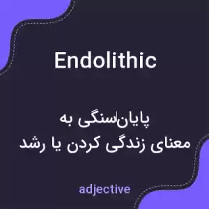 معنی endolithic به فارسی