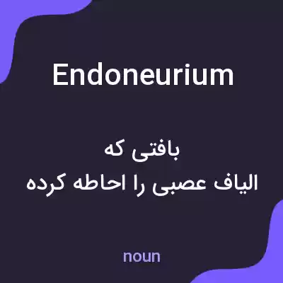 معنی endoneurium به فارسی