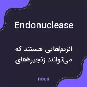 معنی endonuclease به فارسی معنی endonuclease به فارسی