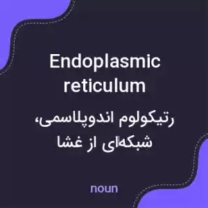 معنی endoplasmic reticulum به فارسی معنی endoplasmic reticulum به فارسی