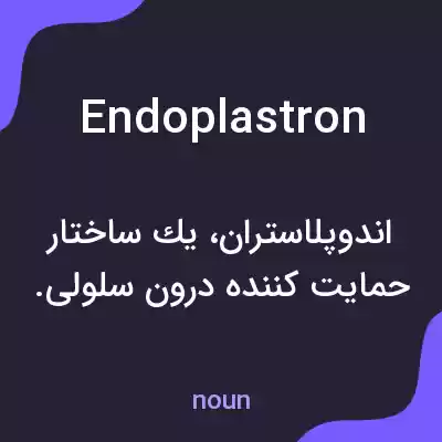 معنی endoplastron به فارسی معنی endoplastron به فارسی