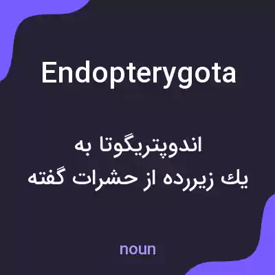 معنی endopterygota به فارسی