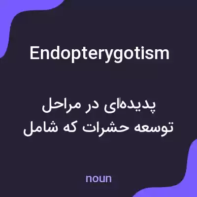 معنی endopterygotism به فارسی معنی endopterygotism به فارسی