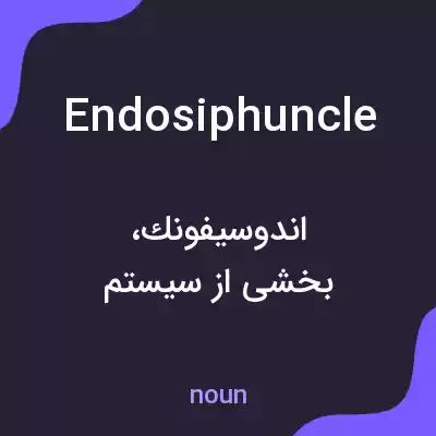 معنی endosiphuncle به فارسی معنی endosiphuncle به فارسی