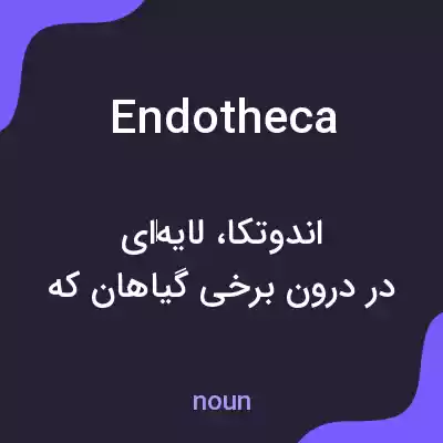 معنی endotheca به فارسی