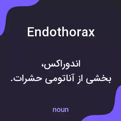 معنی endothorax به فارسی معنی endothorax به فارسی