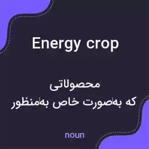 معنی energy crop به فارسی معنی energy crop به فارسی