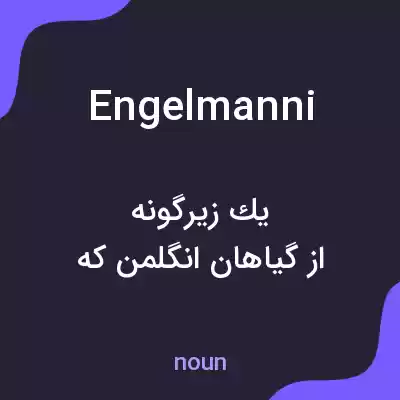 معنی engelmanni به فارسی
