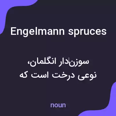 معنی engelmann spruces به فارسی معنی engelmann spruces به فارسی