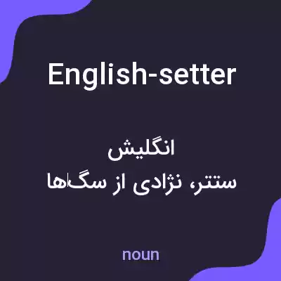معنی english-setter به فارسی معنی english-setter به فارسی