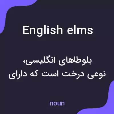 معنی english elms به فارسی معنی english elms به فارسی