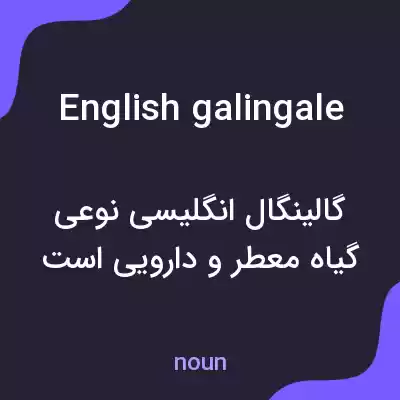 معنی english galingale به فارسی معنی english galingale به فارسی