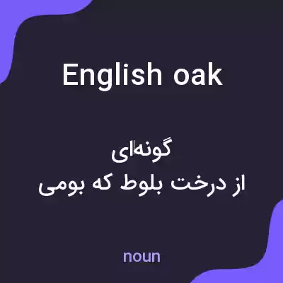 معنی english oak به فارسی معنی english oak به فارسی