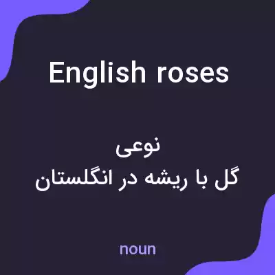 معنی english roses به فارسی معنی english roses به فارسی