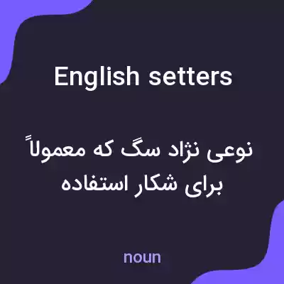 معنی english setters به فارسی معنی english setters به فارسی