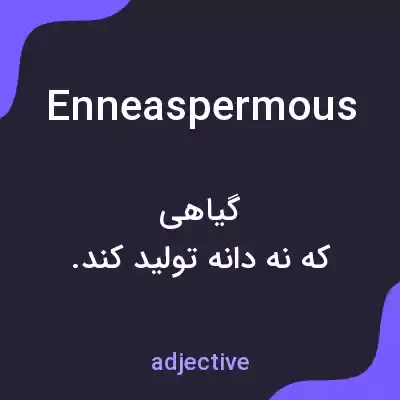 معنی enneaspermous به فارسی معنی enneaspermous به فارسی