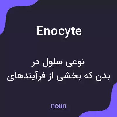 معنی enocyte به فارسی معنی enocyte به فارسی