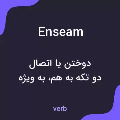معنی enseam به فارسی معنی enseam به فارسی