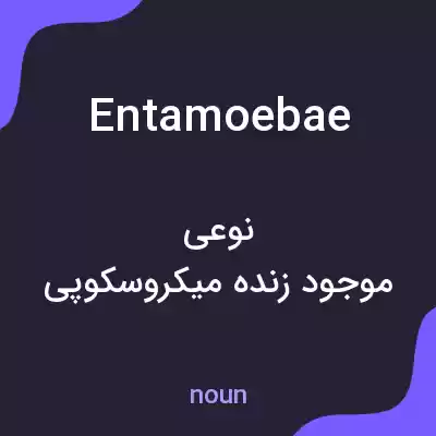 معنی entamoebae به فارسی معنی entamoebae به فارسی