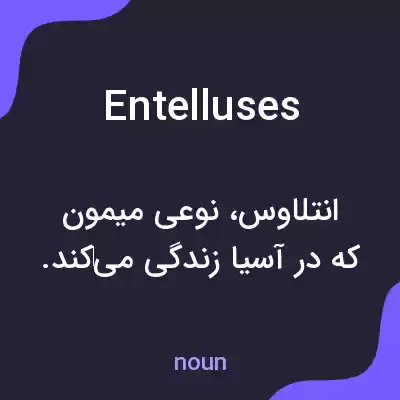معنی entelluses به فارسی