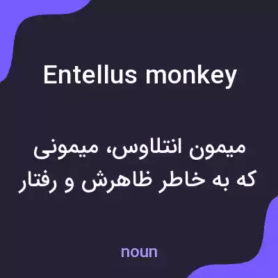معنی entellus monkey به فارسی معنی entellus monkey به فارسی