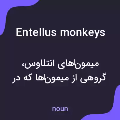 معنی entellus monkeys به فارسی معنی entellus monkeys به فارسی