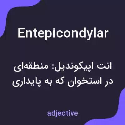 معنی entepicondylar به فارسی