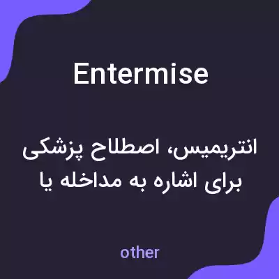معنی entermise به فارسی معنی entermise به فارسی