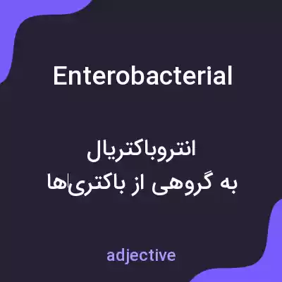 معنی enterobacterial به فارسی معنی enterobacterial به فارسی