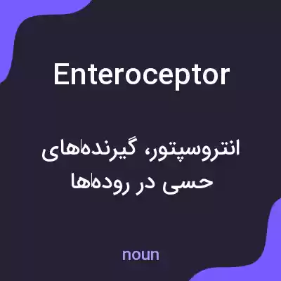 معنی enteroceptor به فارسی معنی enteroceptor به فارسی