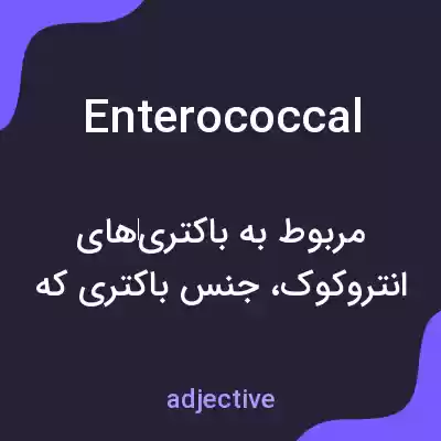 معنی enterococcal به فارسی معنی enterococcal به فارسی