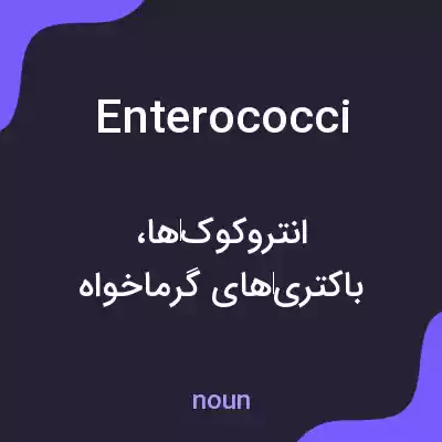 معنی enterococci به فارسی معنی enterococci به فارسی