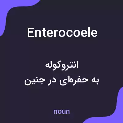 معنی enterocoele به فارسی معنی enterocoele به فارسی