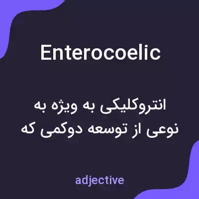 معنی enterocoelic به فارسی معنی enterocoelic به فارسی