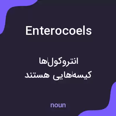 معنی enterocoels به فارسی معنی enterocoels به فارسی