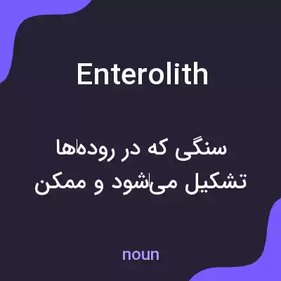 معنی enterolith به فارسی معنی enterolith به فارسی