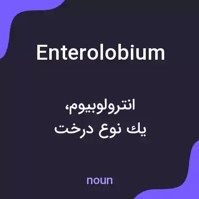 معنی enterolobium به فارسی