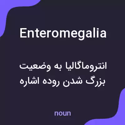 معنی enteromegalia به فارسی معنی enteromegalia به فارسی