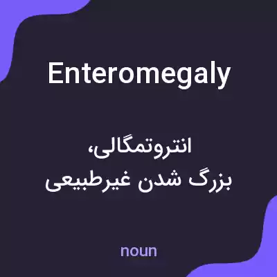 معنی enteromegaly به فارسی معنی enteromegaly به فارسی