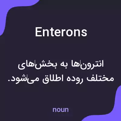 معنی enterons به فارسی معنی enterons به فارسی