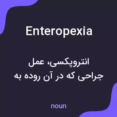 معنی enteropexia به فارسی معنی enteropexia به فارسی